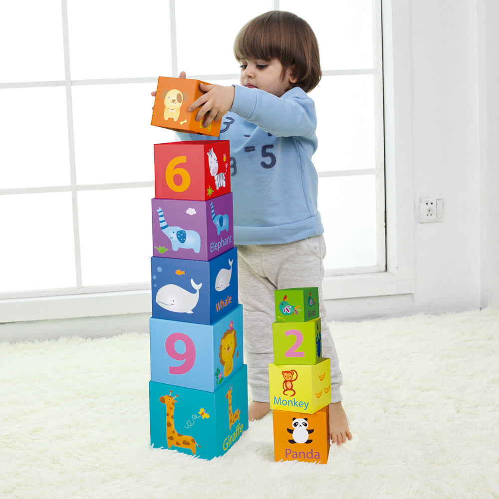 Classic World Stacking Cubes