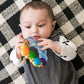 Baby Einstein Teether-pillar ™ Rattle Toy